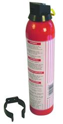 EI 533 0.95Kg Fire Extinguisher