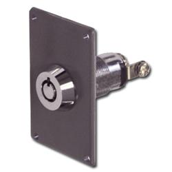 ASEC Electric Key Switch