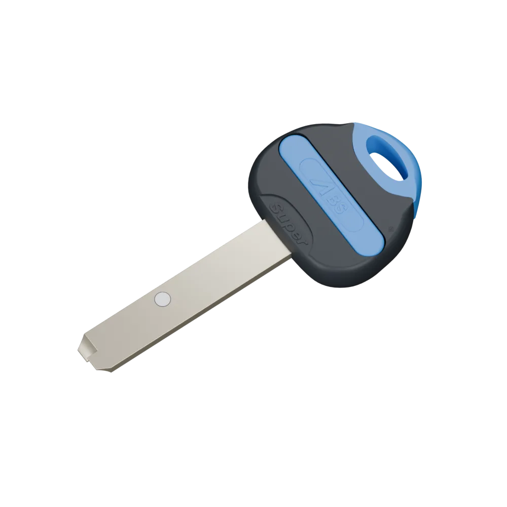 ABS key with interchangeable top and strip