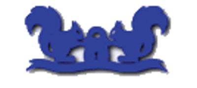 Willenhall Locks logo