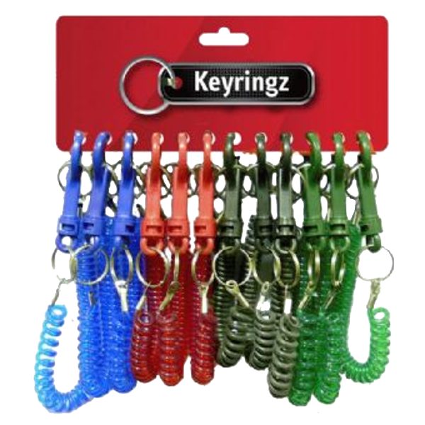 ASEC Spiral Key Ring