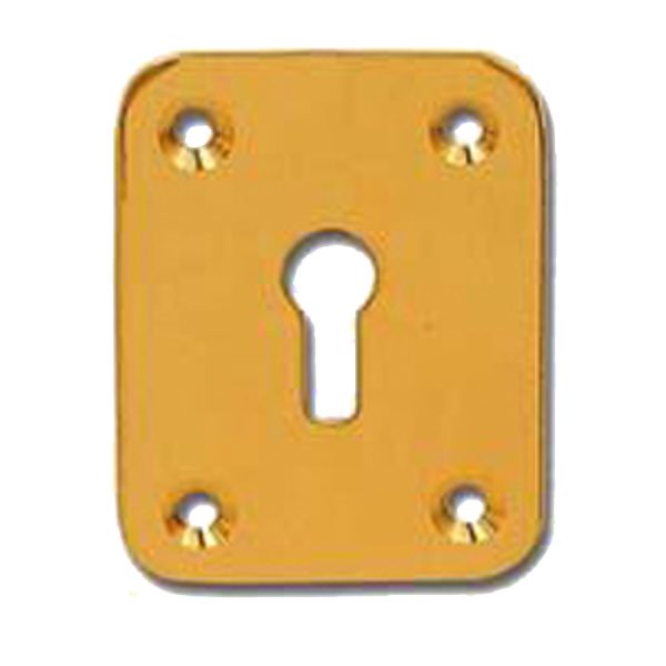 DORTREND 2151 Front Fix Escutcheon