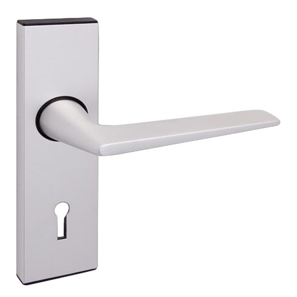 UNION 643 Raven Plate Mounted Lever Furniture