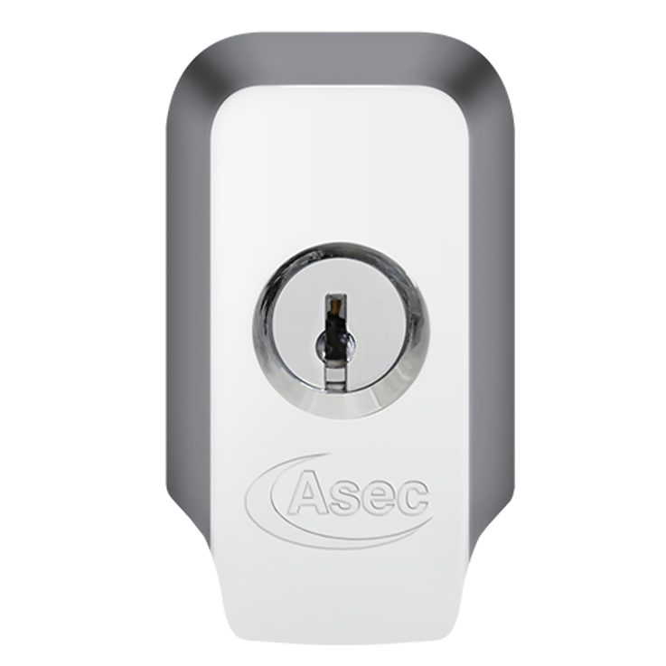 ASEC High Security Rim Cylinder Pull With Cylinder - AS12190 - Chrome Plated - AS12190
