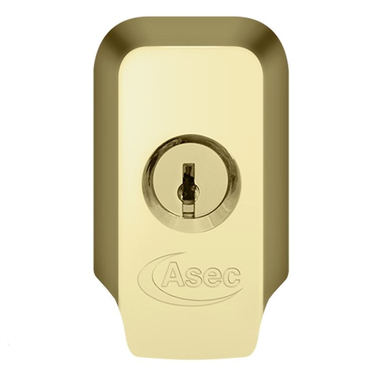 ASEC High Security Rim Cylinder Pull With Cylinder