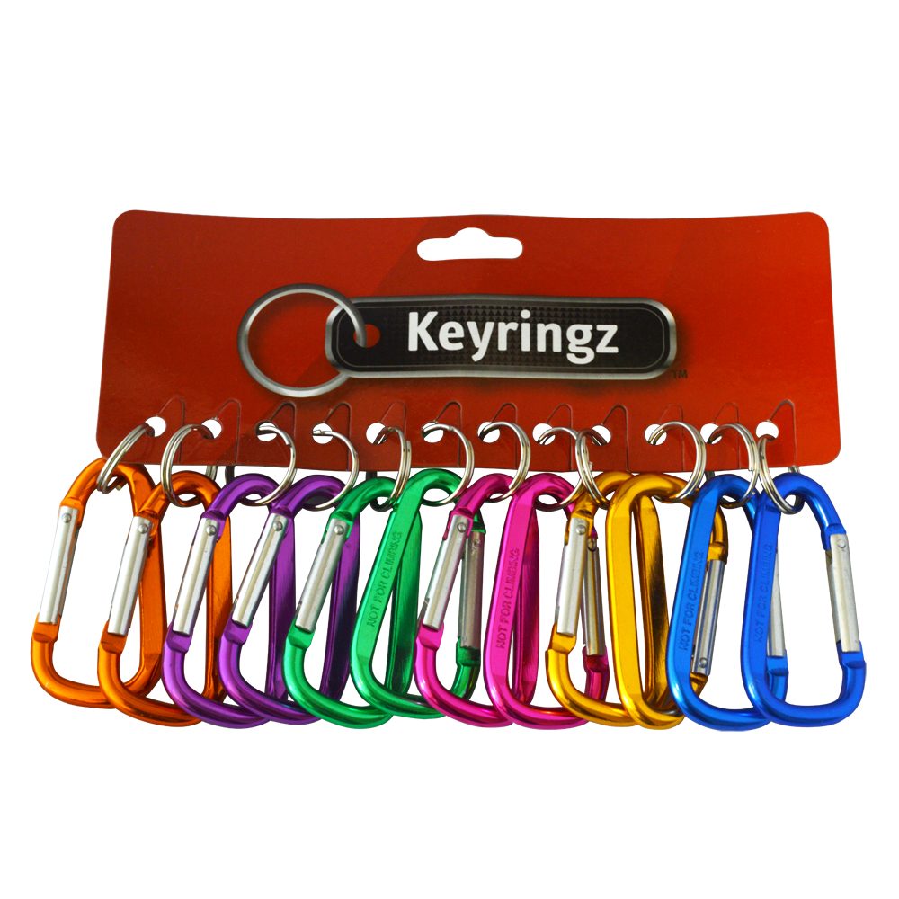 ASEC Metal Carabiner Key Ring
