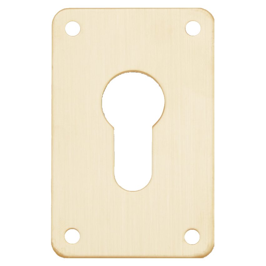 ASEC Screw On 45mm x 70mm Euro Escutcheon