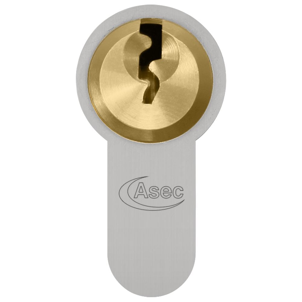 ASEC Vital 6 Pin Half Euro Dual Finish Snap Resistant Cylinder