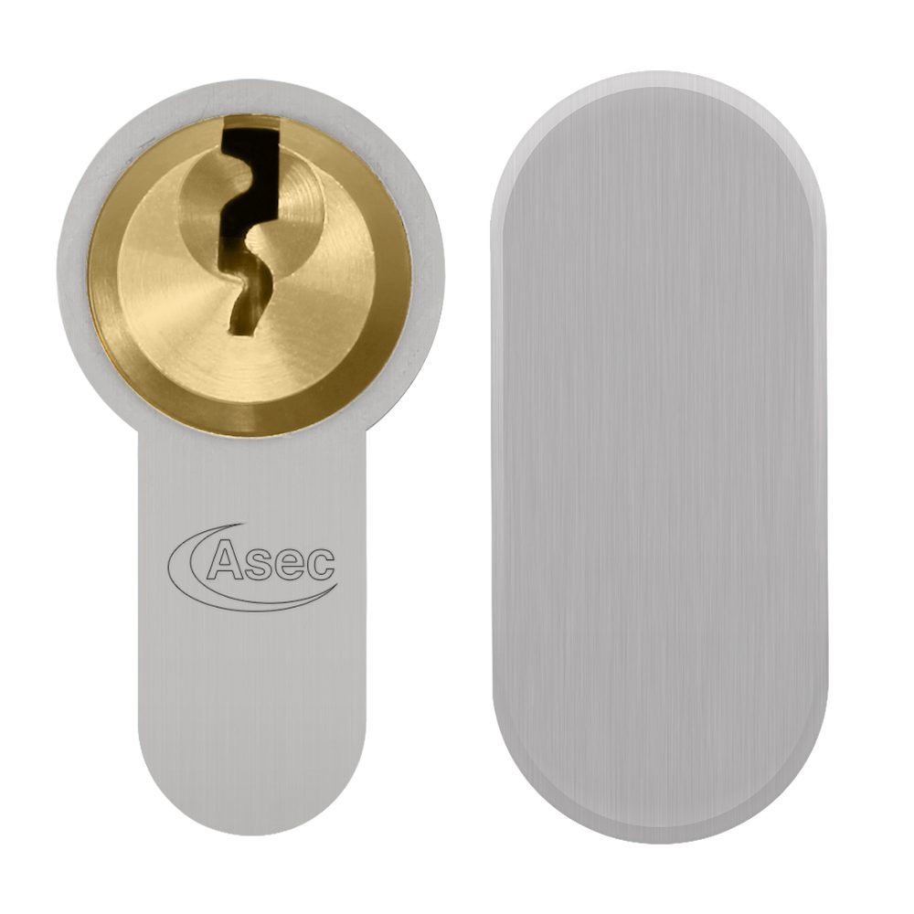 ASEC Vital 6 Pin Key &amp; Turn Euro Dual Finish Snap Resistant Cylinder - VT10047 - 45/T55 - NP/PB Dual Finish - VT10047