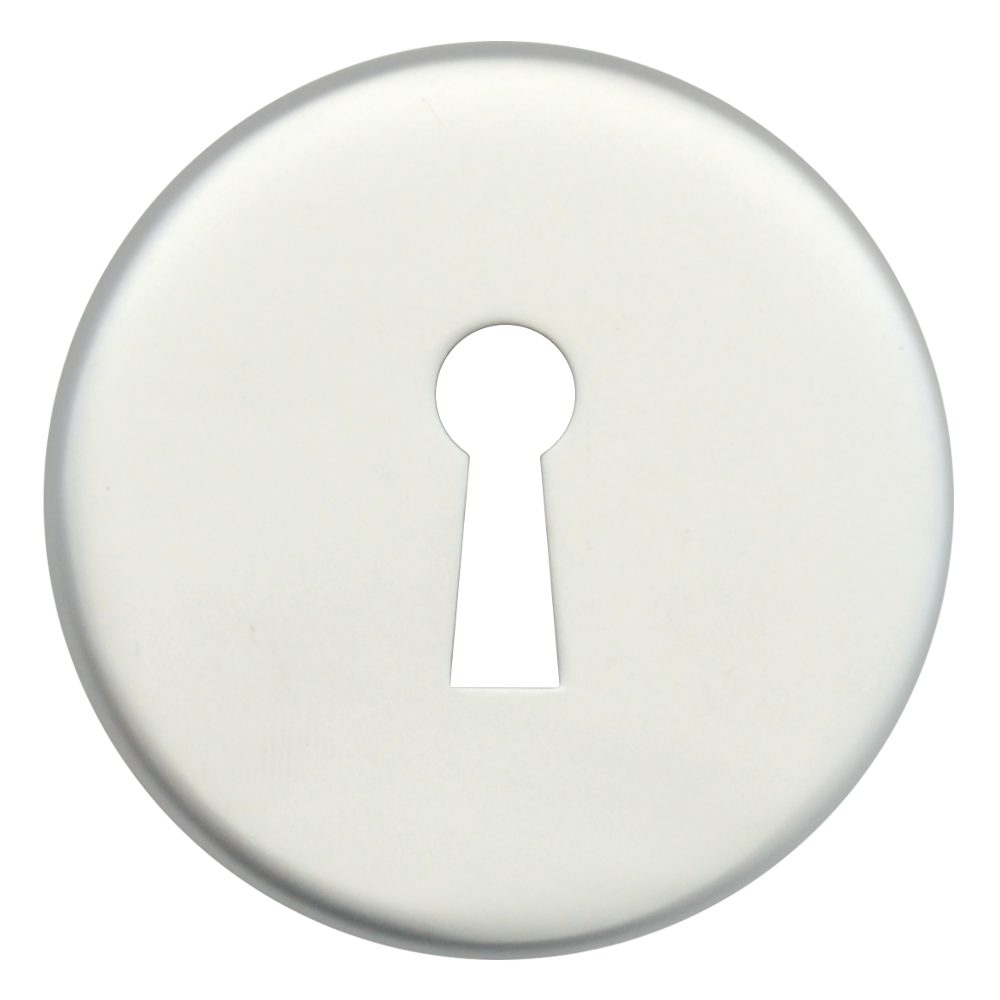 DORTREND 10ECKIAS Concealed Fixing PA Escutcheon
