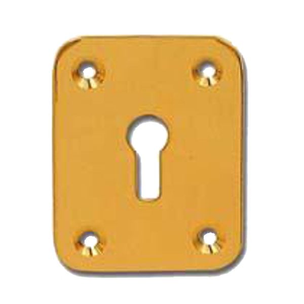 DORTREND 2151 Front Fix Escutcheon